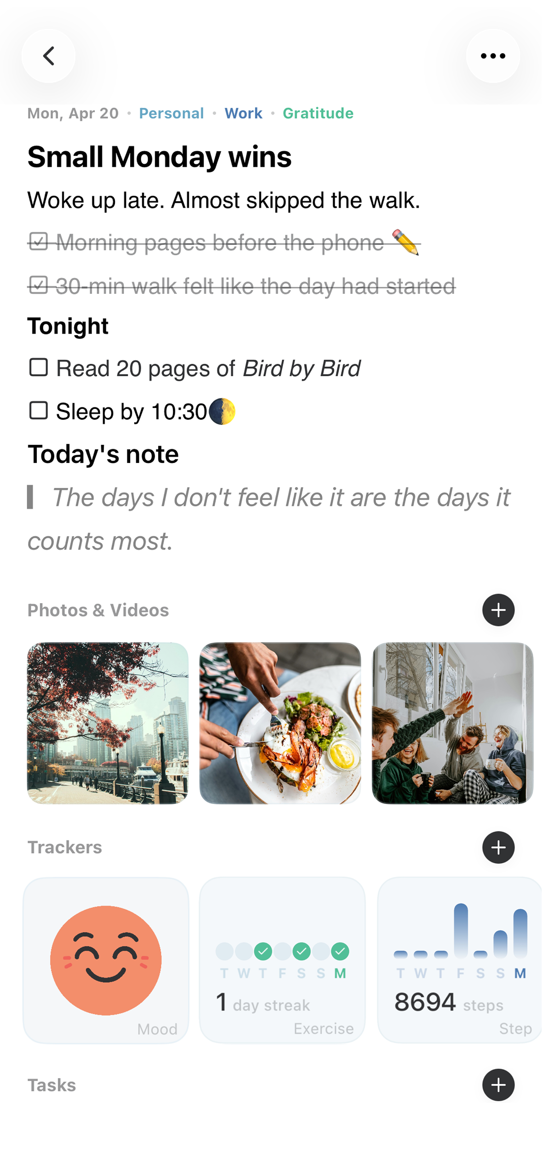 Mindspace Entries screen — a long-form journal page with photos and trackers
