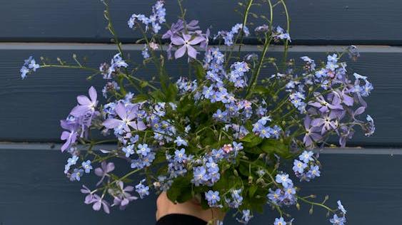 Cover image for article