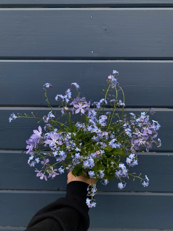 Cover image for article